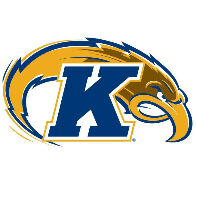 COMPARISON OF REGRESSION METHODS WITH NON-CONVEX PENALTIES